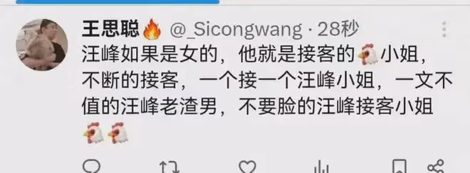 王思聰推特開撕汪某，稱其一文不值一個接一個，網友：你更過分！