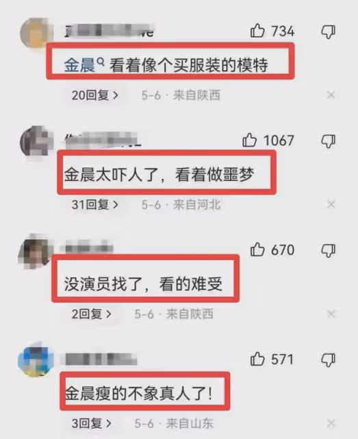 33歲的金晨,終於為自己的「整容」付出了代價
