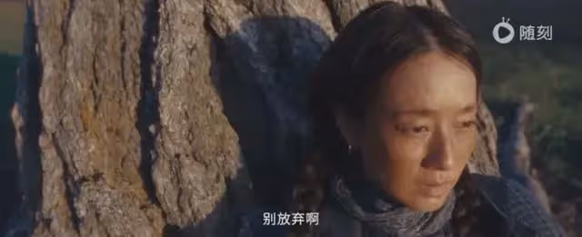 馬伊琍於適主演《我的阿勒泰》今晚央視首播!畫面絕美像風光大片