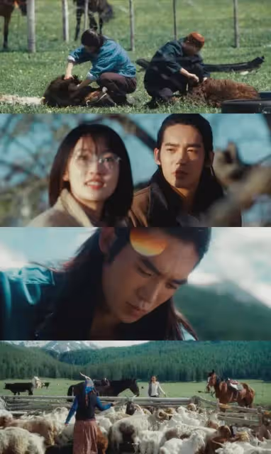 馬伊琍於適主演《我的阿勒泰》今晚央視首播!畫面絕美像風光大片