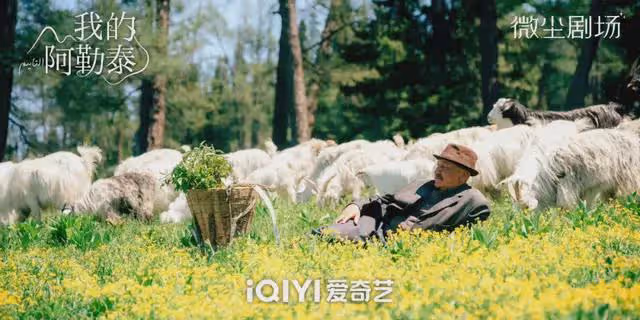 馬伊琍於適主演《我的阿勒泰》今晚央視首播!畫面絕美像風光大片