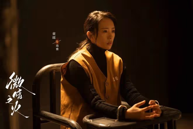 微暗之火:南雅案的源頭和關鍵在胡秀胡立帆,林方路如何才能破局