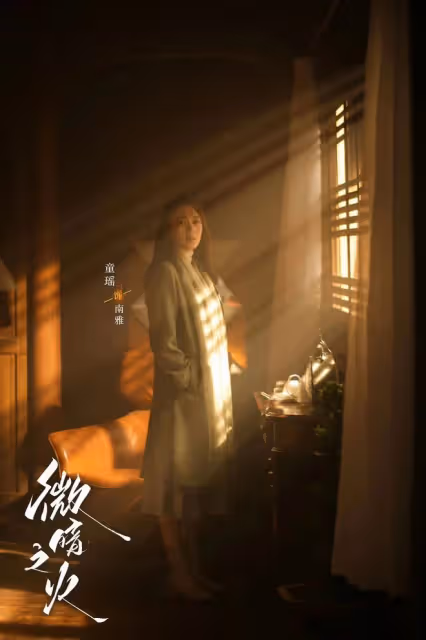 微暗之火:南雅案的源頭和關鍵在胡秀胡立帆,林方路如何才能破局