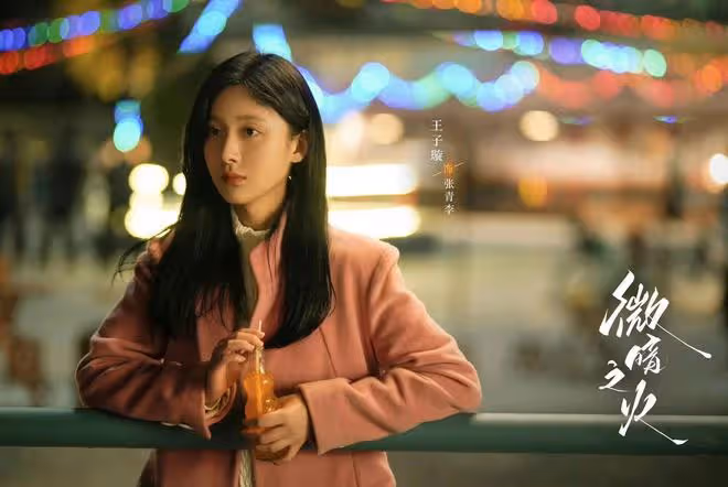 微暗之火:南雅案的源頭和關鍵在胡秀胡立帆,林方路如何才能破局