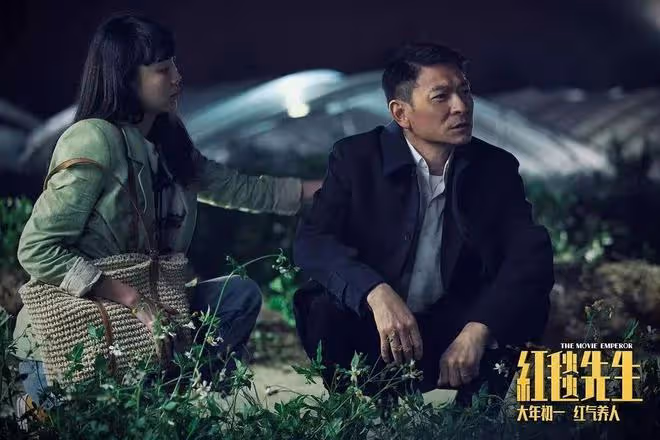 楊冪電影《一頓火鍋》撤檔,被嘲吃相難看!電影也搞無理由退貨?