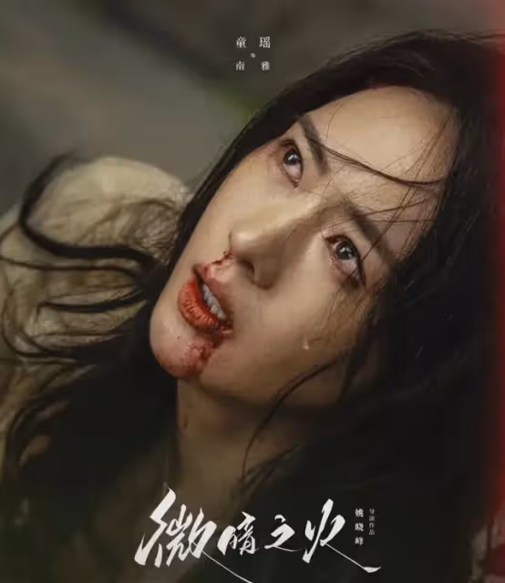 懸疑劇《微暗之火》今晚央視開播!追風者導演執導,演員陣容超頂
