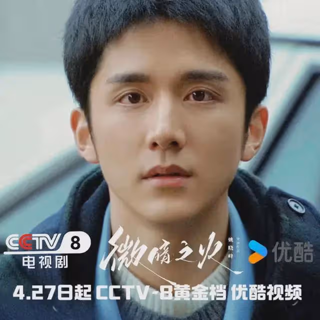 懸疑劇《微暗之火》今晚央視開播!追風者導演執導,演員陣容超頂