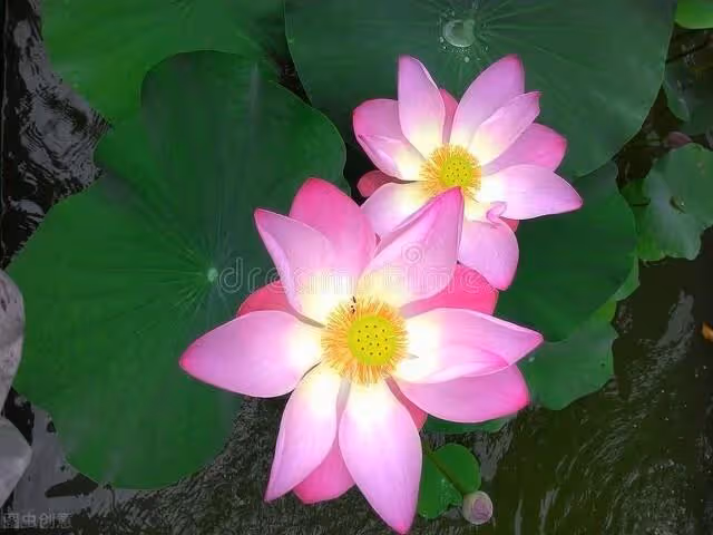 夫妻AA制生活10年,丈夫想接父母來養老,妻子:我拒絕照顧