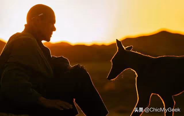 彭于晏《狗陣》形象全顛覆,零台詞演技坎城獲贊!