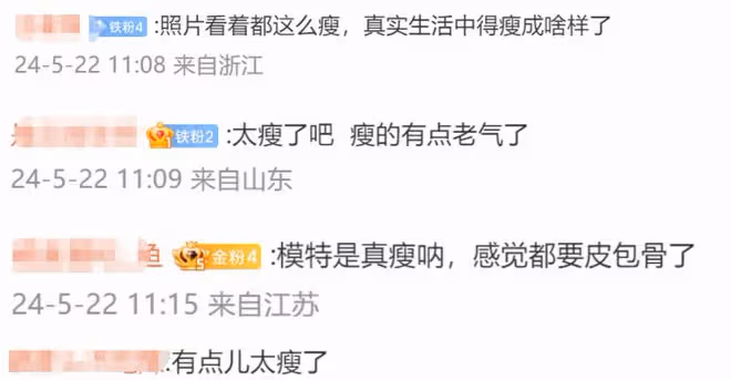 珠圓玉潤的劉亦菲和「紙片人」劉雯，女星的「差異美」出來了