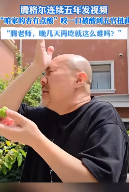 騰格爾嗜酸出圈,連續五年嘗未熟綠杏,酸爽反應引熱議