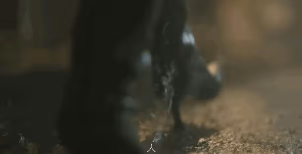 《玫瑰的故事》將空降央視,3大看點,要啥有啥,這回有好戲看了