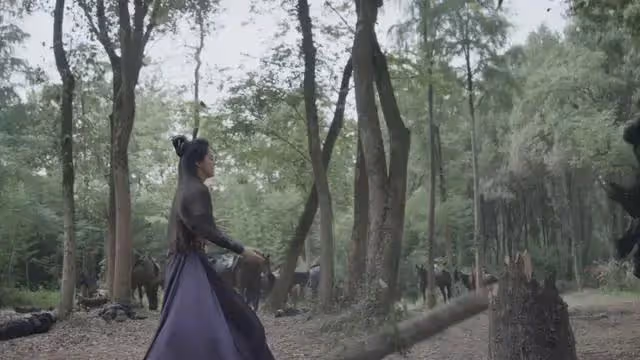 從《繁花》到《慶餘年》,38歲的她,讓颯爽大氣女主從此有了臉
