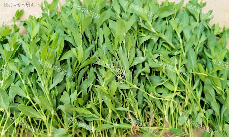 這菜不花1分錢,5月農村遍地都是,摘回家蒸一蒸,營養好吃不上火