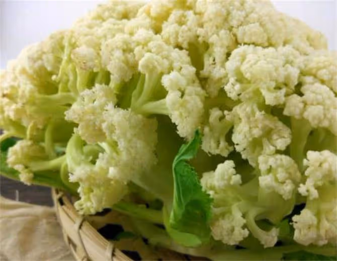 為什麼說花菜儘量少吃?愛吃花菜的要留意,散花和緊花有啥區別?