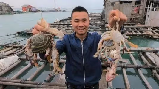 回顧福建小伙16歲輟學,19歲回村,29歲拍趕海視頻爆火,年入百萬