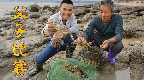回顧福建小伙16歲輟學,19歲回村,29歲拍趕海視頻爆火,年入百萬