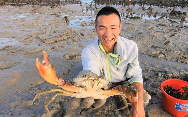 回顧福建小伙16歲輟學,19歲回村,29歲拍趕海視頻爆火,年入百萬