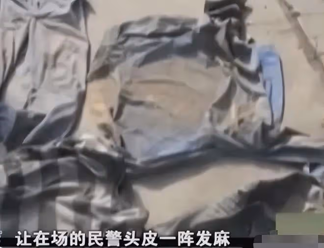 2013年女童離奇失蹤,警方在母親同事家找到16袋土,打開發現貓膩