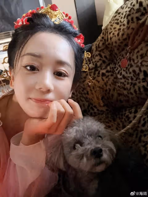 騰訊愛奇藝雙平台網播!海陸領銜主演,看到男主必須要追