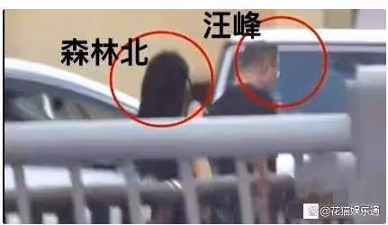 森林北很納悶:公開與汪峰戀情負面影響大,幾個文旅活動突然取消