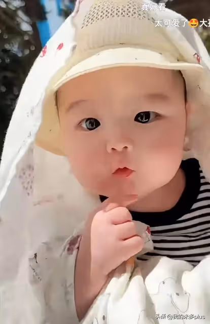 趙本山外孫下樓遛彎,球球曬5個月皮兒懟臉照,大腮幫子一臉福相