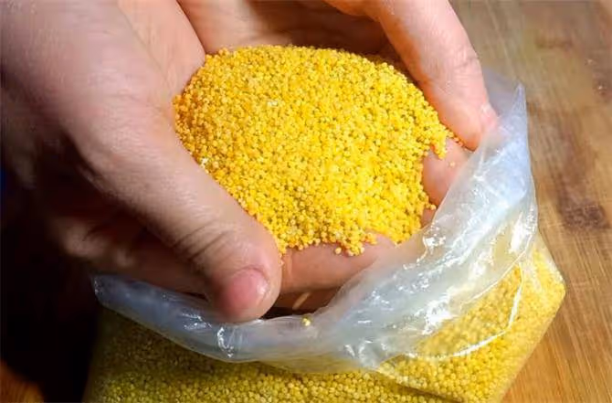 小米煮多久才算熟?大廚教你正確做法,米粥濃稠米油多
