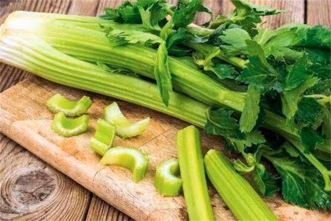 西芹和芹菜的區別是什麼?該如何區分呢?