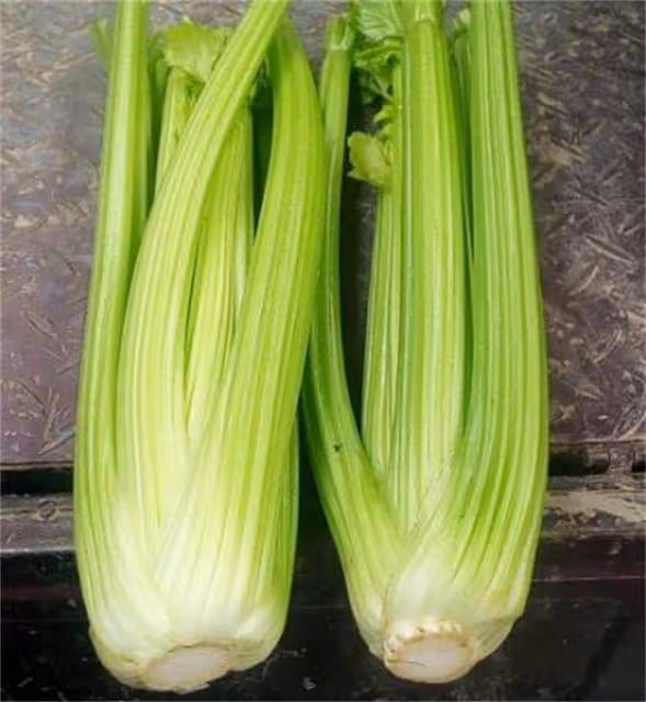 西芹和芹菜的區別是什麼?該如何區分呢?