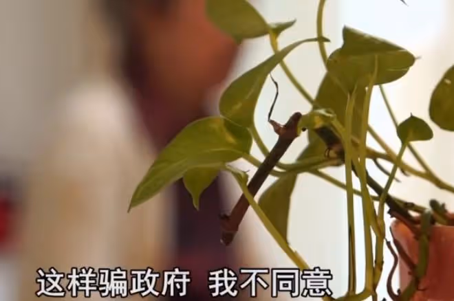 回顧:女子想生孩子,與捐精男子結婚,生女後直言:不買房就離婚