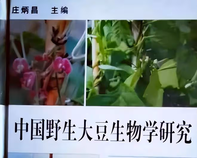 2002年萊陽大案,兩學生劫殺頂級科學家,改寫了整座城的命運