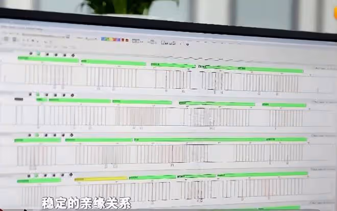 回顧浙江一重刑犯逃到新疆,警方追查26年後,憑舊木板床找出兇手