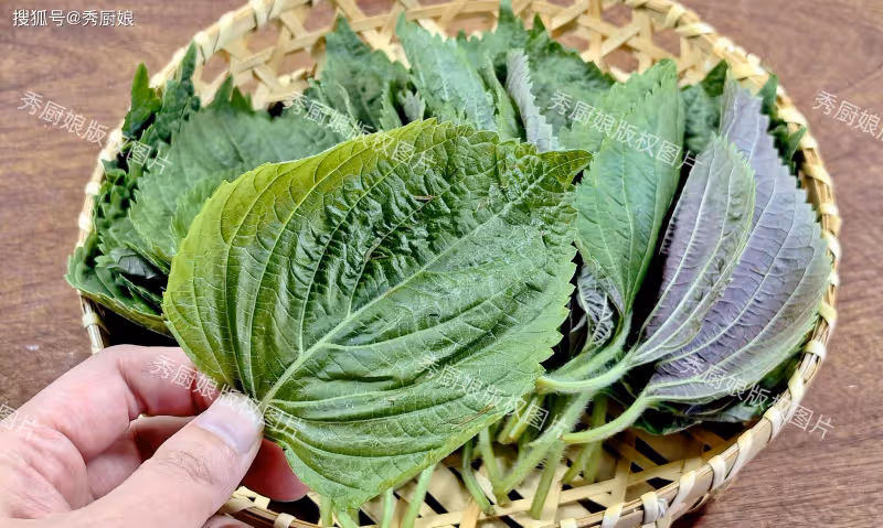 一養肝,二護眼,三祛濕,四通便,5月這菜正當季,錯過真可惜!