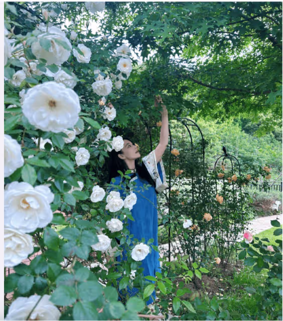 37歲張馨予穿藍色民族風長衫:在月季叢中拍照,狀態像25歲少女