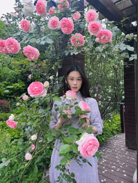 37歲張馨予穿藍色民族風長衫:在月季叢中拍照,狀態像25歲少女