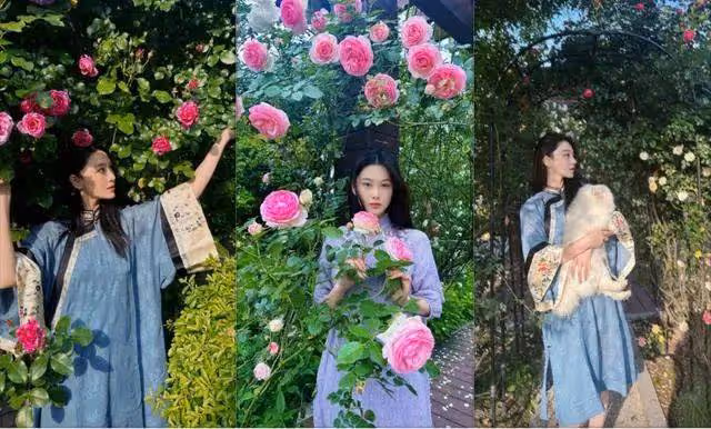 37歲張馨予穿藍色民族風長衫:在月季叢中拍照,狀態像25歲少女