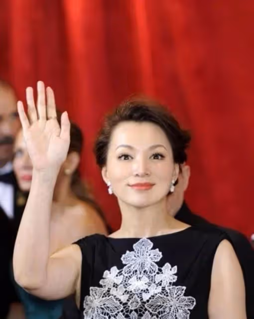 董卿真是太漂亮了!黑色長裙驚艷國外紅毯,舉手投足間盡顯氣質