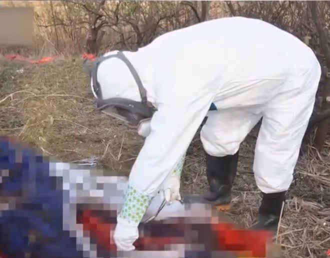 1992年,5歲女孩目睹父母身亡,23年後執意給父母開棺,這是為何