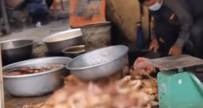 回顧:愛狗人士打砸狗肉店,被老闆怒揍成重度腦震盪,結果如何