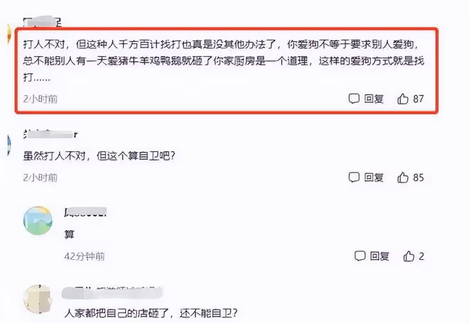 回顧:愛狗人士打砸狗肉店,被老闆怒揍成重度腦震盪,結果如何