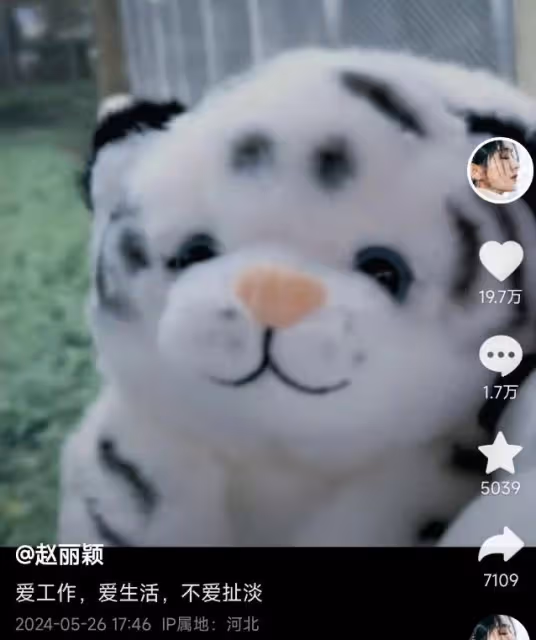 趙麗穎帶兒子逛動物園，罕曬母子合照秀幸福，5歲想想身高優越