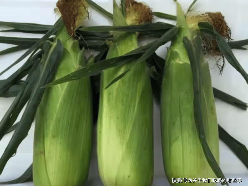 煮玉米,用清水煮是外行!記得多加2味,玉米軟糯香甜,好吃