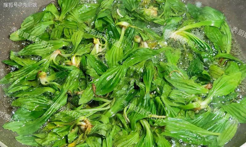一清肺、二祛濕、三護眼、四利尿,這菜全身是寶,可惜很多人當草