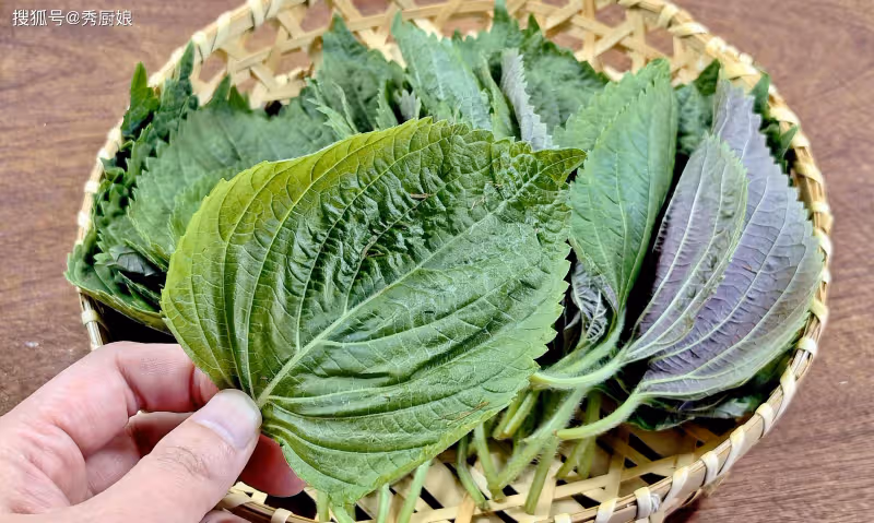 一養肝,二護眼,三祛濕,四通便,這菜全身是寶,很多人卻不懂吃