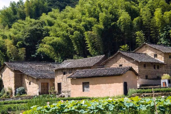 寧在城裡買張床,也不要在農村建新房!普通人真不建議回農村建房
