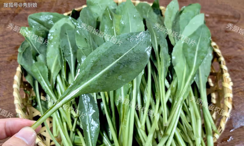 一養肝、二降火、三消炎、四通便,夏天這菜使勁吃,隨手一炒真香