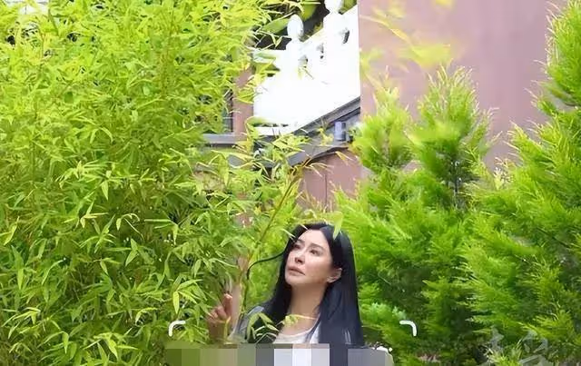 年輕時傾國傾城，如今卻「胖成大媽」，這8位發福的女星可惜了！