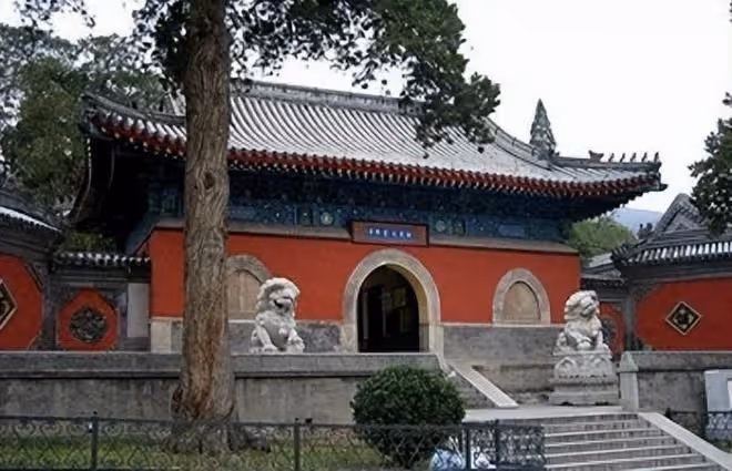回顧遼寧一寺廟內只有女性，日睡4小時吃一餐，還禁止香客捐錢