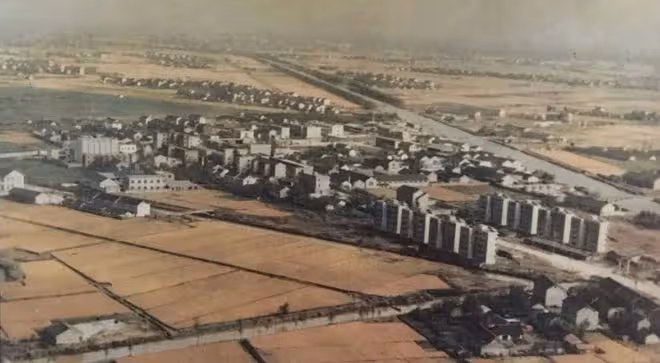 回顧上海釘子戶張新國：為多要房子和賠償，霸路14年，一分沒多賺