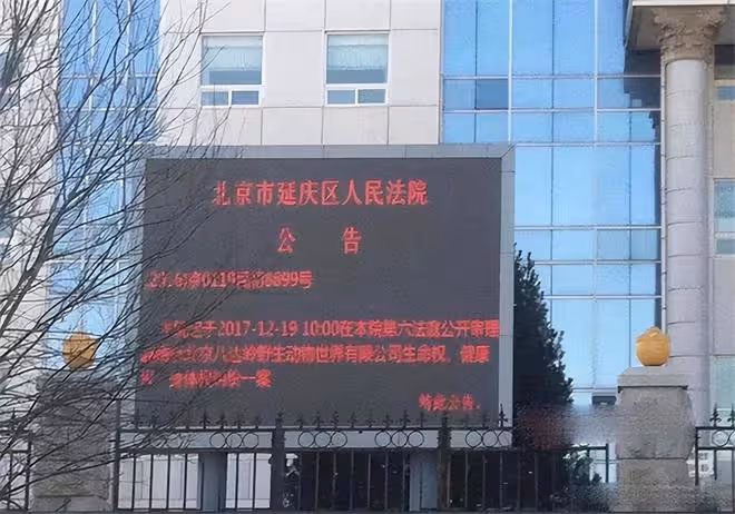 2016年八達嶺老虎傷人案:倖存者索賠154萬失敗,因毀容無工作